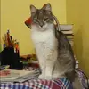 Отзыв от Полина Шаповалова